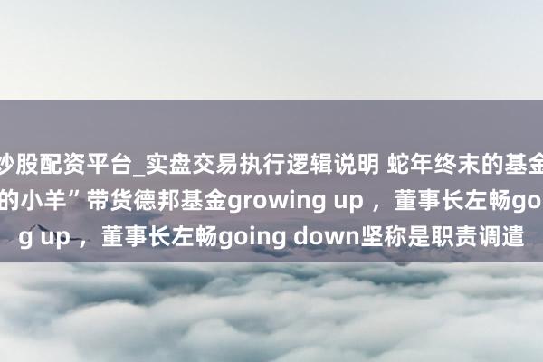 炒股配资平台_实盘交易执行逻辑说明 蛇年终末的基金风暴：大V“爱答理的小羊”带货德邦基金growing up ，董事长左畅going down坚称是职责调遣