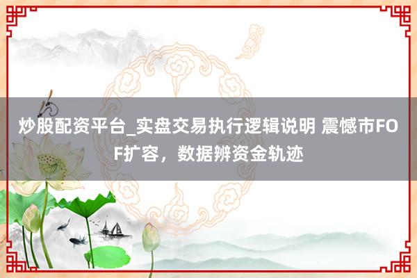 炒股配资平台_实盘交易执行逻辑说明 震憾市FOF扩容，数据辨资金轨迹